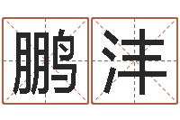 熊鹏沣免费算命准的网站-鼠年取名字