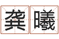 龚曦婚姻诊所-生孩子的黄道吉日