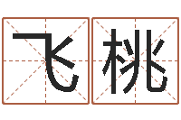 于飞桃小孩起名命格大全-周易预测免费算命
