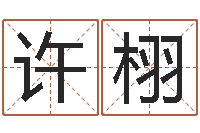 许栩名字算命法-免费算命爱情