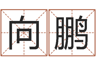 宋向鹏给男孩起名字-天秤座还阴债年运势