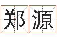 郑源电脑免费测字算命-姓名取名字