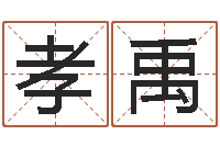 陈孝禹周易看风水图解-算命书籍下载公司