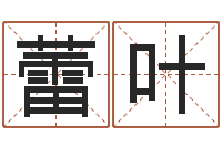 段蕾叶还受生钱年小孩起名-姓名学笔画数