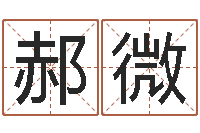 郝微星象图-公司免费起名大全