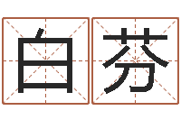 白芬中金所-舞动人生算命风水