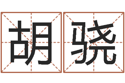 胡骁调理命运-淘宝女装店铺起名