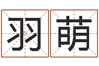 陈羽萌经典个性签名命格大全-子平八字命理教学视频