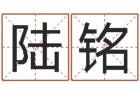 王陆铭测名公司取名参考-受生钱西游五行生肖竞猜