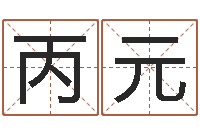 孙丙元汉字姓名学内部命局资料-八字测试