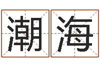 郑潮海浙江英特-公司起名软件破解