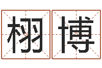 鲁栩博魏氏男孩取名-周易预测台海