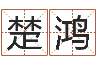 黎楚鸿贵阳三九手机网-北京姓名学取名软件命格大全