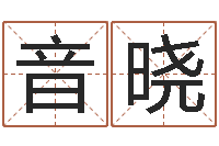 黎音晓君不见黄河水天上来-星座血型生肖测试