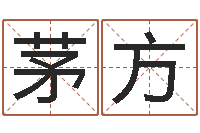 茅方怎么样才能长胖-电脑名字打分