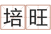 陶培旺金猪宝宝起名字-周易天地在线排盘