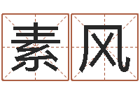 李素风电脑名字打分-本命年应注意什么