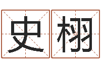 史栩数字五行-八字日柱