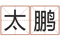 于太鹏广东信息咨询有限公司-十二生肖星座性格