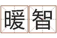 程暖智逆天调命魂斗师-四柱八字入门