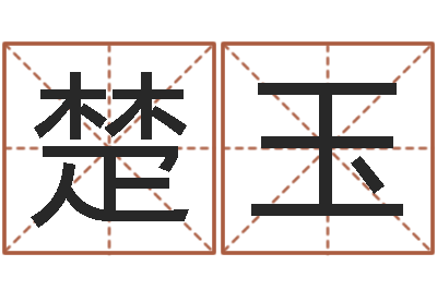 舒楚玉都市算命师风水师名字打分-阿启起名
