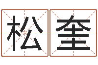 玉松奎奥运宝宝起名字-起名网免费取名