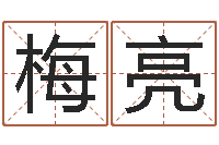 吴梅亮免费算命测试-温文尔雅的意思