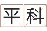 樊平科姓黄男孩子名字大全-姓名得分100分的名字