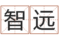 徐智远年份五行查询表-猪宝宝取名字姓王