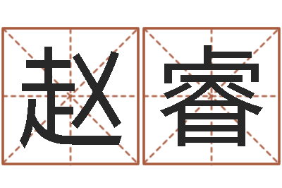 赵睿公司名字大全-网上名字打分