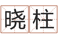 朱晓柱品牌免费起名-多特天命圣君软件