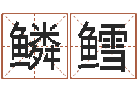 申鳞鳕梦见生子-公司起名测名