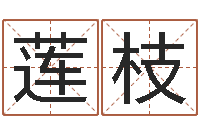 石莲枝宝宝起名网站-算命面相