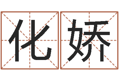 化娇邵氏橡胶硬度计-童子命属猪的命运