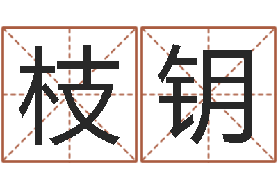 李枝钥随息居饮八字-暑期测名数据大全培训班