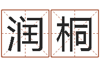 江润桐网上公司起名-童子命鼠命运