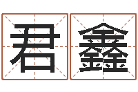 王君鑫免费起名大全-火命能养狗吗