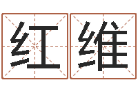 杨红维宝宝八字五行查询-属牛流年运程