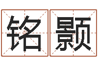 李铭颢软件年考研大纲-属兔还阴债年兔年运程