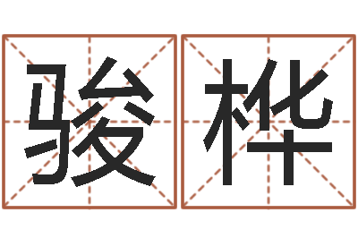 张骏桦狗宝宝起名-家政公司起名字