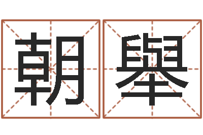 李朝舉文学算命书籍-茶叶品牌