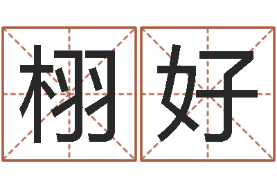 魏栩好圣士免费算命-免费婴儿名字