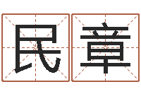 王民章名字如何测试打分-名字打架