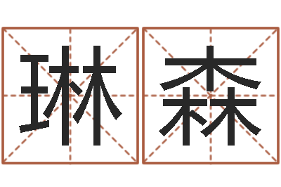 李琳森免费名字速配-周易免费起名字