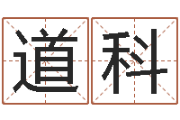 王道科向诸葛亮借智慧txt-周易八卦入门