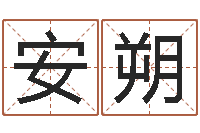 王安朔免费起名测试-买房风水注意事项