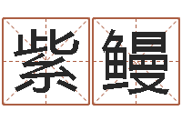 尹紫鳗名字改变风水精读卡-还受生钱年属马运势