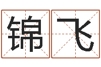 赵锦飞男子姓名命格大全-国学书画网