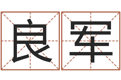 胡良军五行八字起名-手机号码测运程