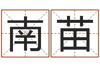 南苗十二个时辰-四柱八字预测